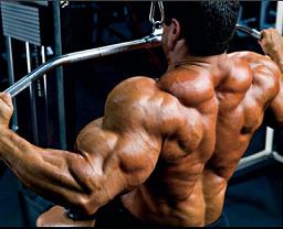 Хороший тренинг широчайших мышц спины